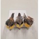 BIRDS NATURAL +/-12CM WITH CLIP 3PCS