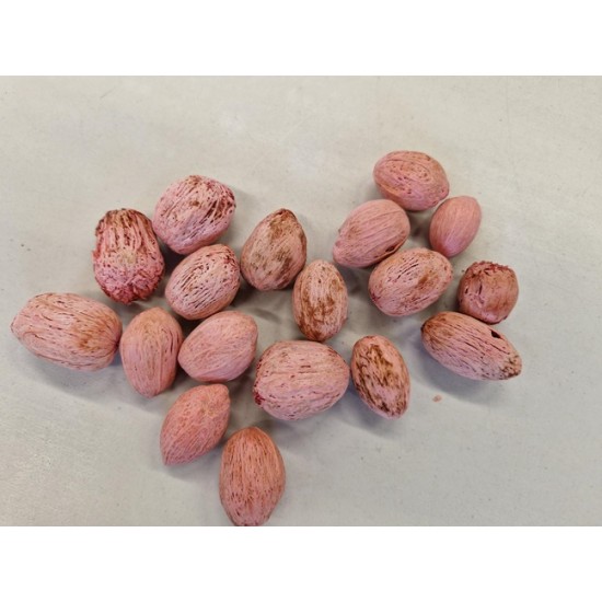 AMRA PODS ROSE +/-500GR