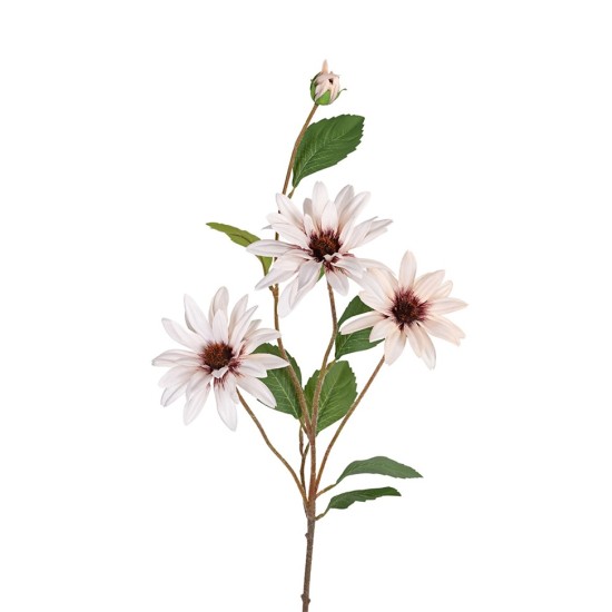 ASTER 80CM CREME