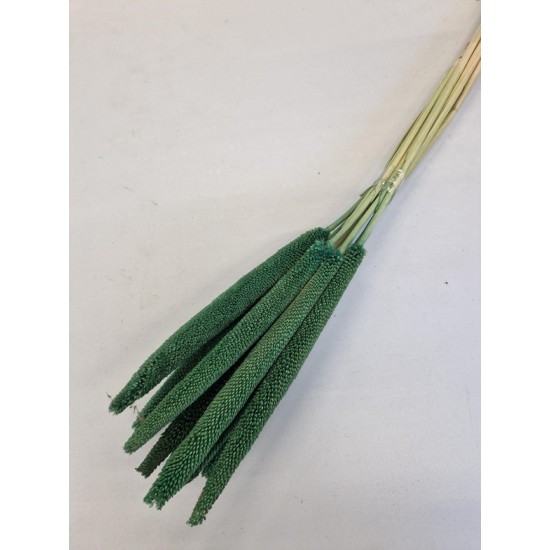 BABALA VERT 55CM 10PCS