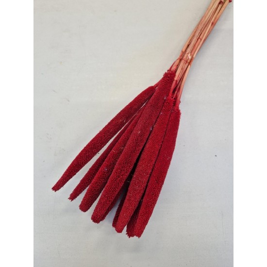 BABALA ROUGE 55CM 10PCS