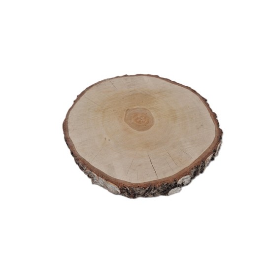 BIRCH SLICE +/-10-12CM +/-2CM NATURAL BIRCH SLICE +/-10-12CM +/-2CM NATURAL