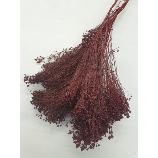 BROOM BLOOM PRUNE +/-100GR