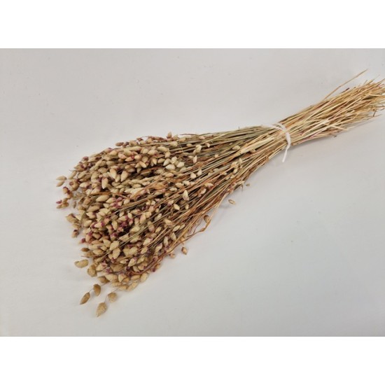BRIZA MAXIMA NATURAL BOPP/kraft BRIZA MAXIMA NATURAL BOPP/kraft