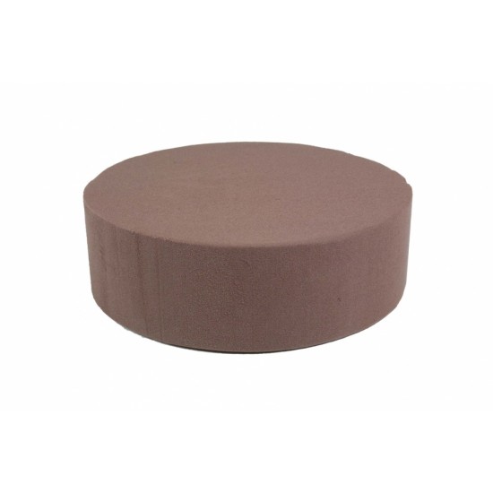 BIO TAART ROND (CAKE DUMMY) 22X7CM 2ST