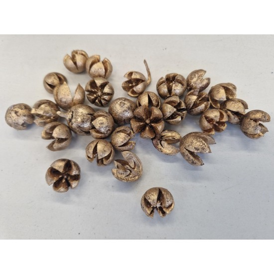 CHILONI GOUD +/-1KG