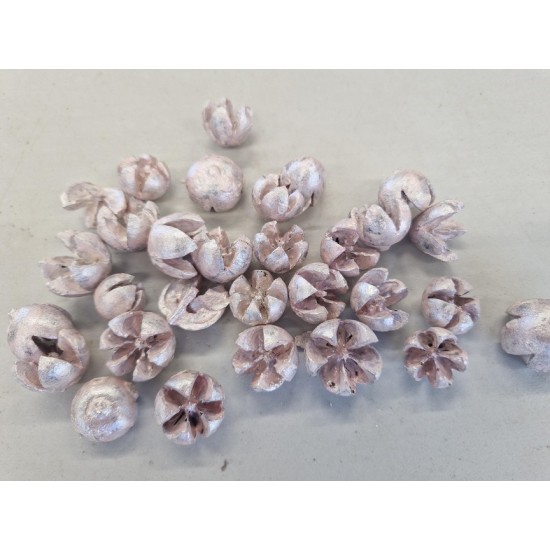 CHILONI PEARL PINK +/-1KG