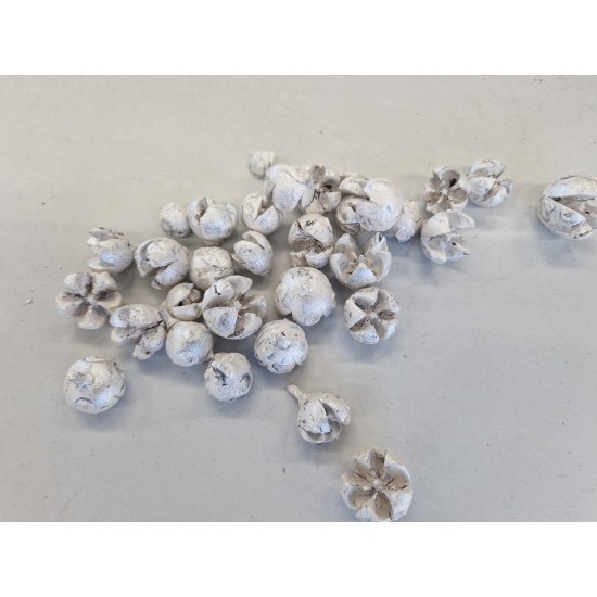 CHILONI PEARL WHITE