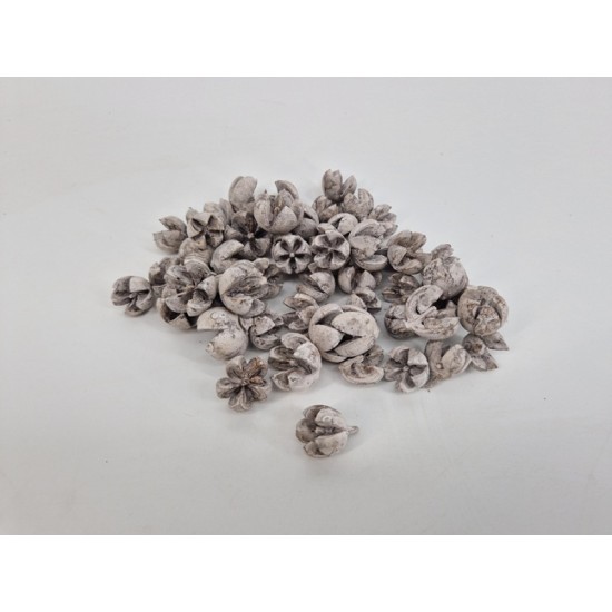 CHILONI WHITE WASH CHILONI WHITE WASH