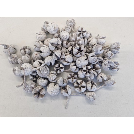 CHILONI WHITE WASH +/-1KG