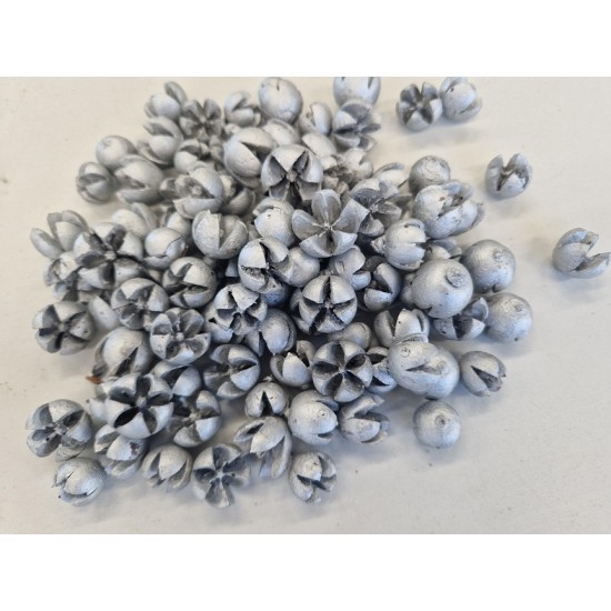 CHILONI SILVER +/-1KG