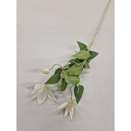 CLEMATIS 60CM BLANC