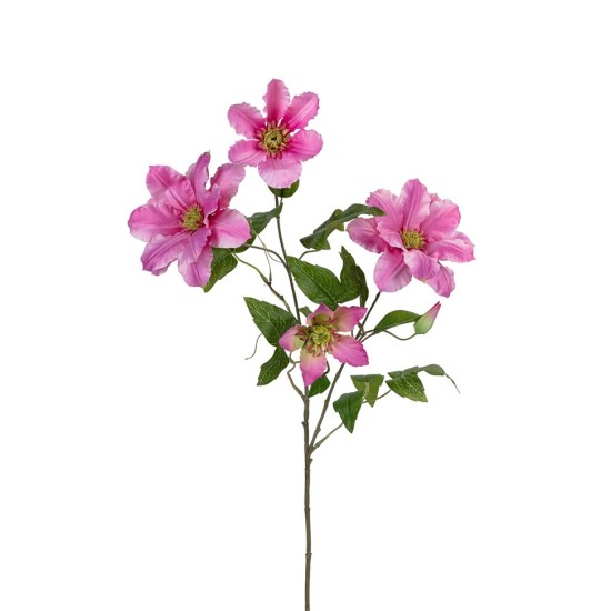 CLEMATIS 80CM ROZE