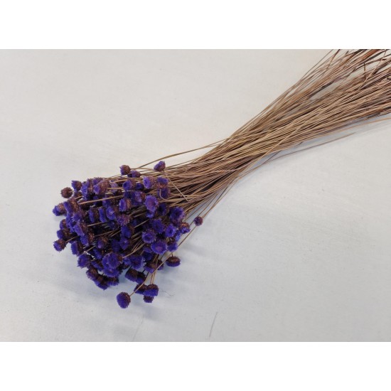 CONGONHAS LILAC +/-50GR BOPP/kraft Small packaging