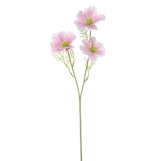 COSMOS 65CM PINK