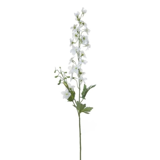 DELPHINIUM 80CM CREME