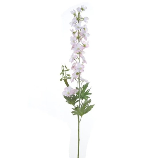 DELPHINIUM 80CM ROZE