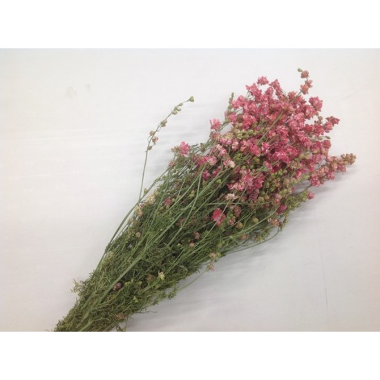 DELPHINIUM PINK NATURAL 1/2 BOPP/kraft