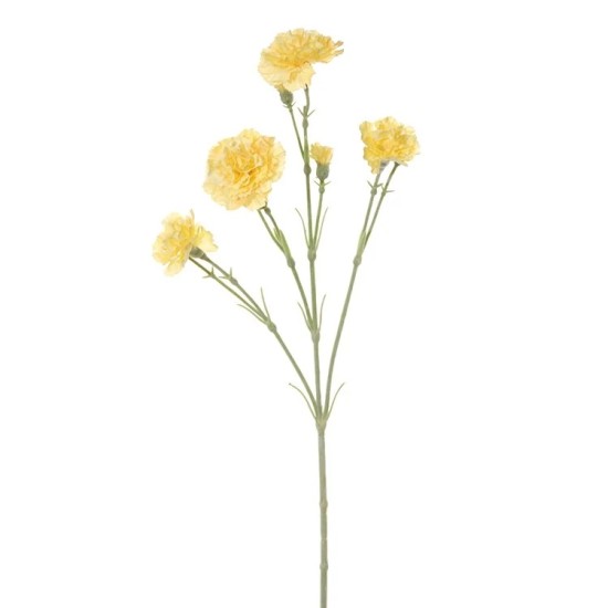 DIANTHUS YELLOW 60CM