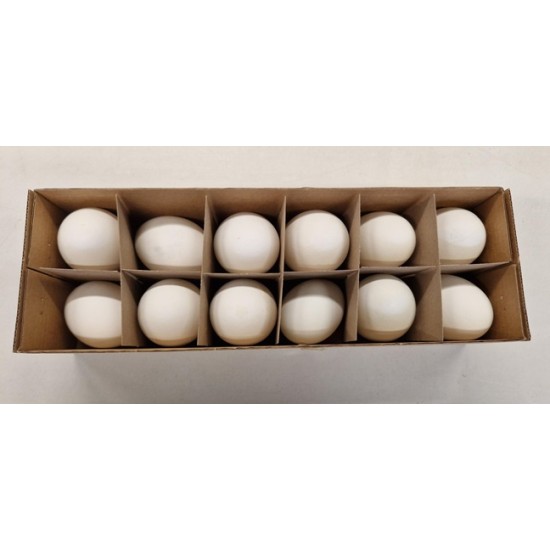 OEUFS DE CANARD 12PCS