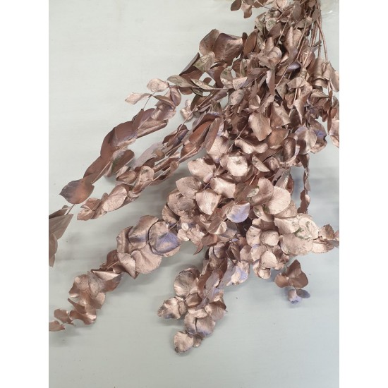 EUCALYPTUS CYNEREAS ROSE GOLD +/-150GR BOPP/kraft