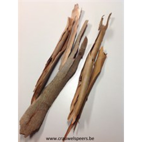 EUCALYPTUS BARK NATURAL +/-200GR