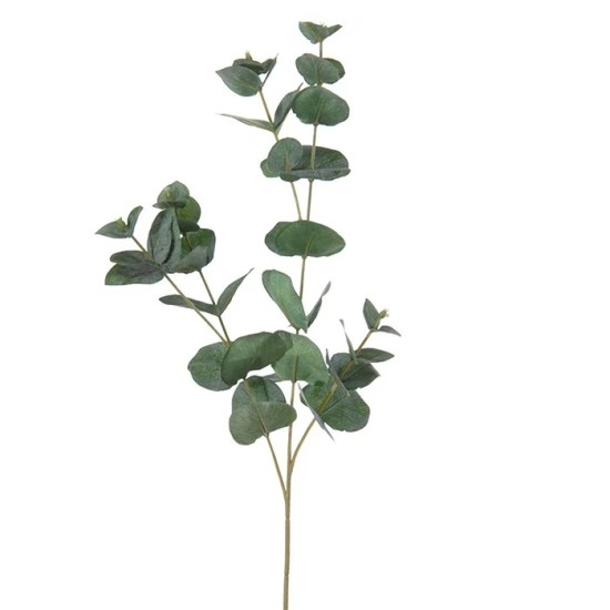 EUCALYPTUS 75CM GROEN