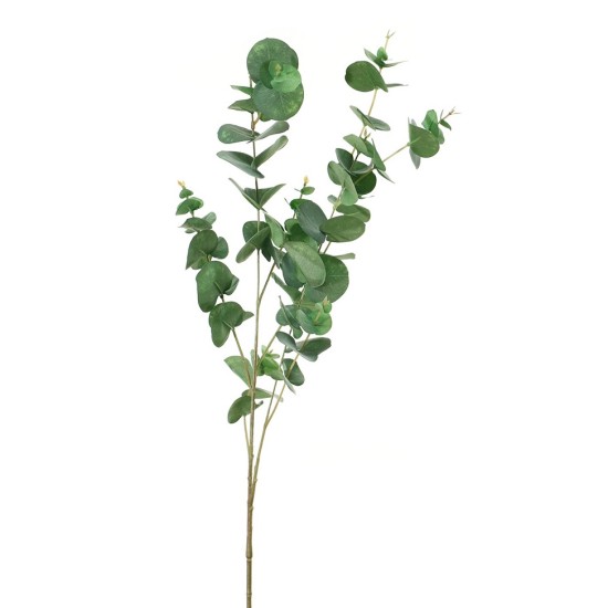 EUCALYPTUS 98CM VERT