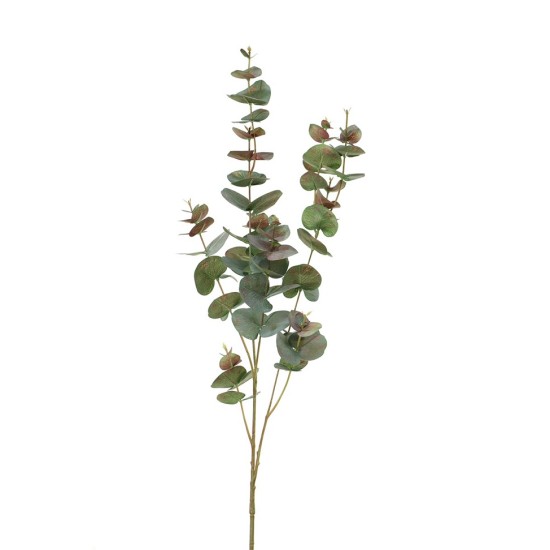 EUCALYPTUS 98CM VERT/ROUGE