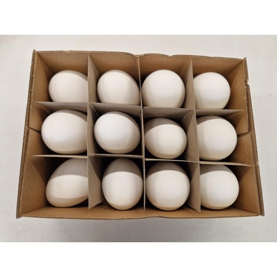 OEUFS D'OIE 12PCS