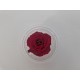ROSE STABILISEE (MEDIUM OPEN) +/-4.5CM BORDEAUX 8PCS ROSE STABILISEE (MEDIUM OPEN) +/-4.5CM BORDEAUX 8PCS