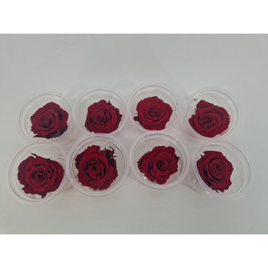 ROSE STABILISEE (MEDIUM OPEN) +/-4.5CM BORDEAUX 8PCS ROSE STABILISEE (MEDIUM OPEN) +/-4.5CM BORDEAUX 8PCS