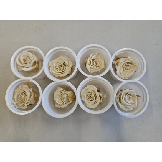 ROSE STABILISEE (MEDIUM OPEN) +/-4.5CM BLANC 8PCS