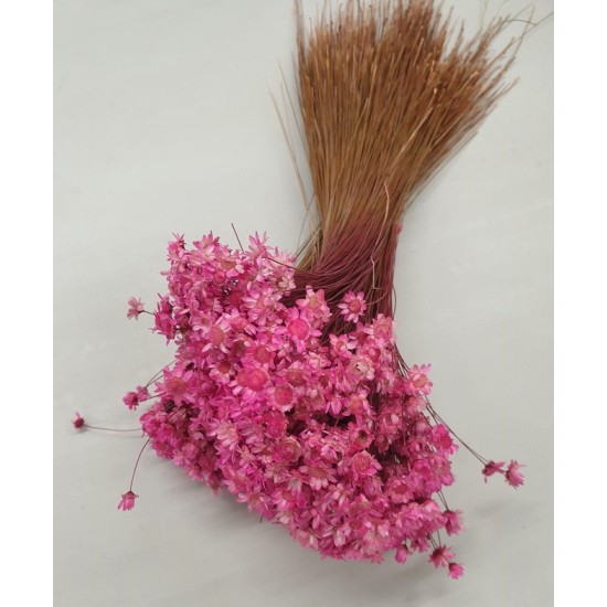 GLIXIA FUCHSIA +/-50GR BOPP/kraft