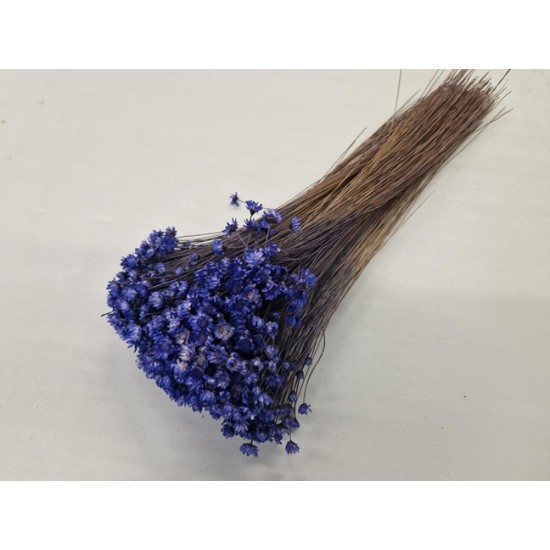 GLIXIA LAVENDER +/-100GR