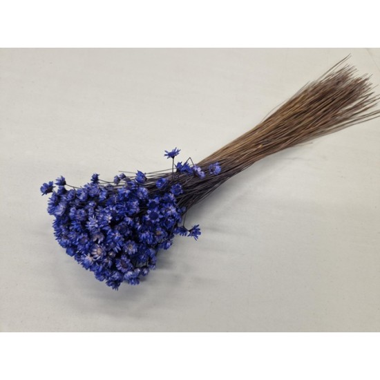 GLIXIA LAVENDEL +/-50GR BOPP/kraft hobbyverpakking