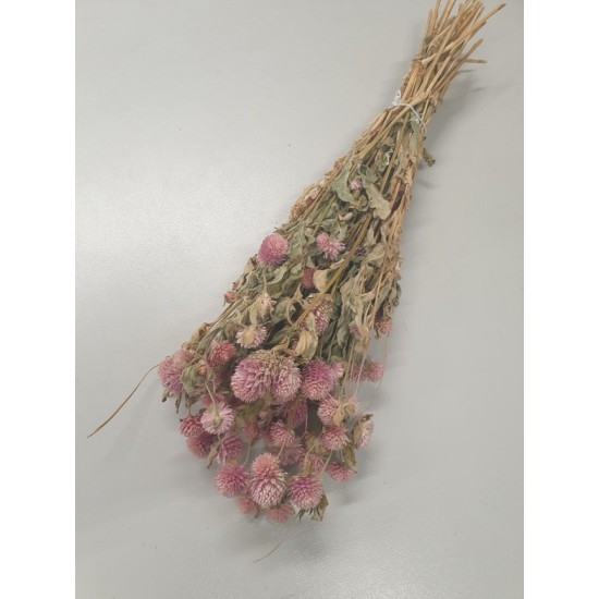 GOMPHRENA ROSE NATUREL 1/2 BOPP/kraft