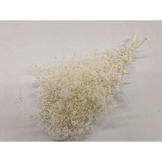 GYPSOPHILA MINI BLEACHED +/-50GR BOPP/kraft Small packaging