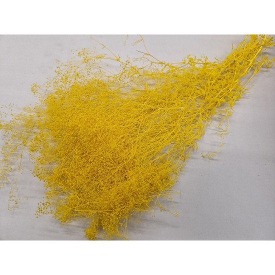 GYPSOPHILA MINI YELLOW +/-100GR