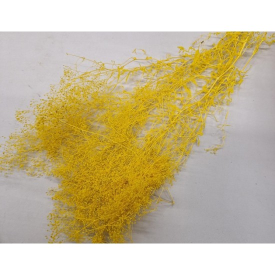 GYPSOPHILA MINI YELLOW +/-50GR BOPP/kraft Small packaging