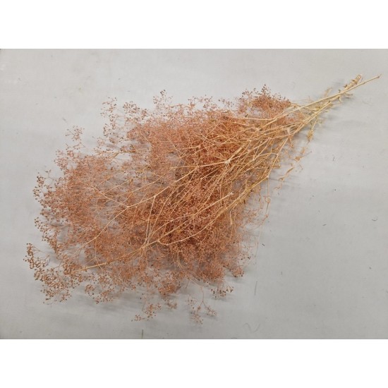 GYPSOPHILA MINI POWDER PINK +/-50GR BOPP/kraft Small packaging