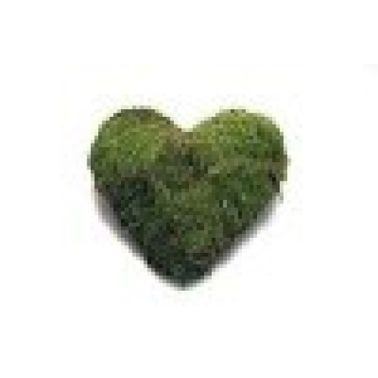 HEART PRESERVED GREEN MOSS 30CM