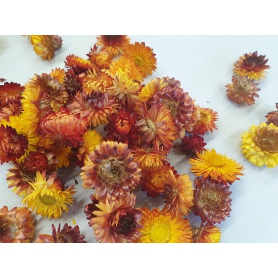 HELICHRYSUM KOPPEN ORANJE NATUREL +/-40GR