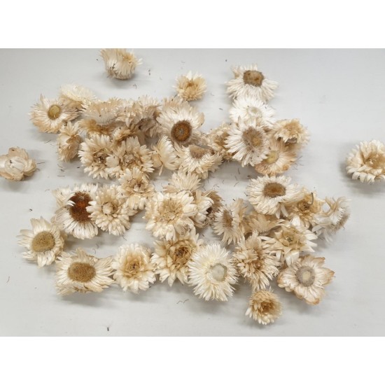 HELICHRYSUM HEADS WHITE NATURAL +/-40GR