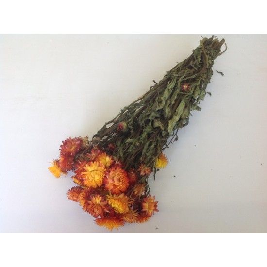 HELICHRYSUM ORANGE NATURAL 1/2 BOPP/kraft