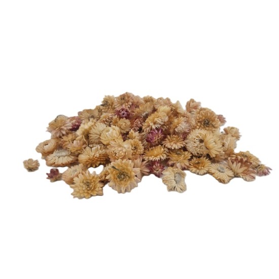 HELICHRYSUM HEADS CREAM/PINK NATURAL +/-40GR HELICHRYSUM HEADS CREAM/PINK NATURAL +/-40GR