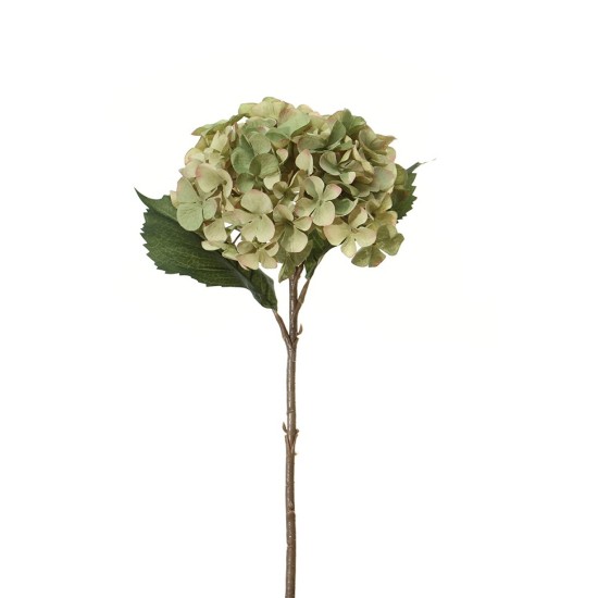 HORTENSIA 45CM GROEN