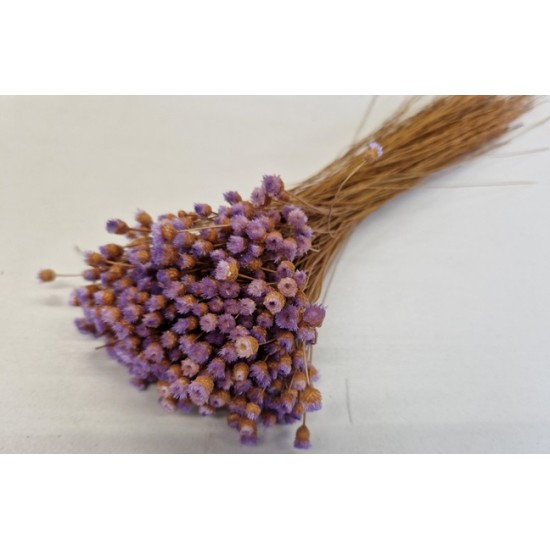 JASILDA LILAC +/-50GR BOPP/kraft Small packaging