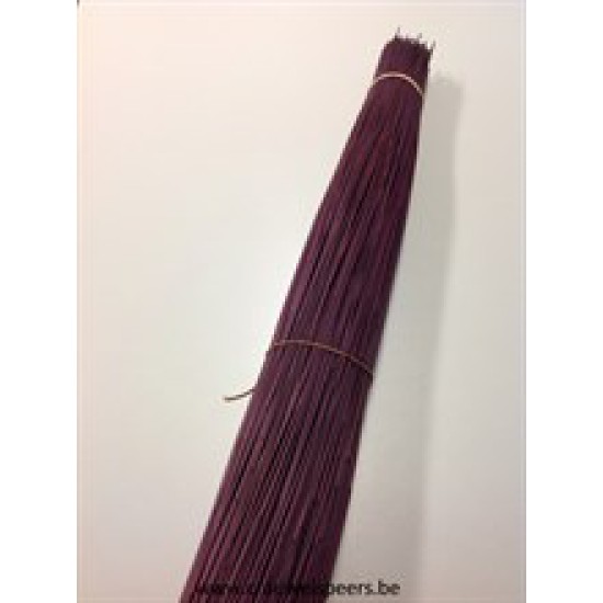 REED BUNDLE AUBERGINE 1/5 BOPP/kraft