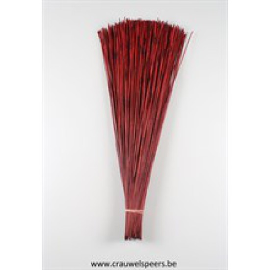 REED BUNDLE RED 1/5 BOPP/kraft